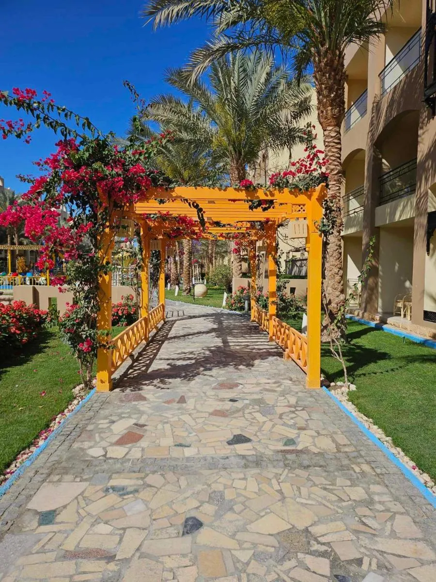 Image 4 of Comfortable studio in hotel Karma with private beach and pools family only or female