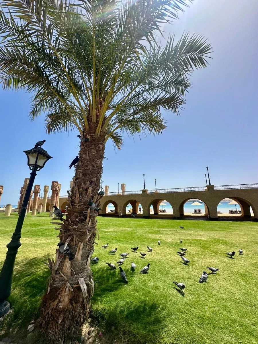 Image 3 of El Andalous Sea View Apartment Sahl Hasheesh