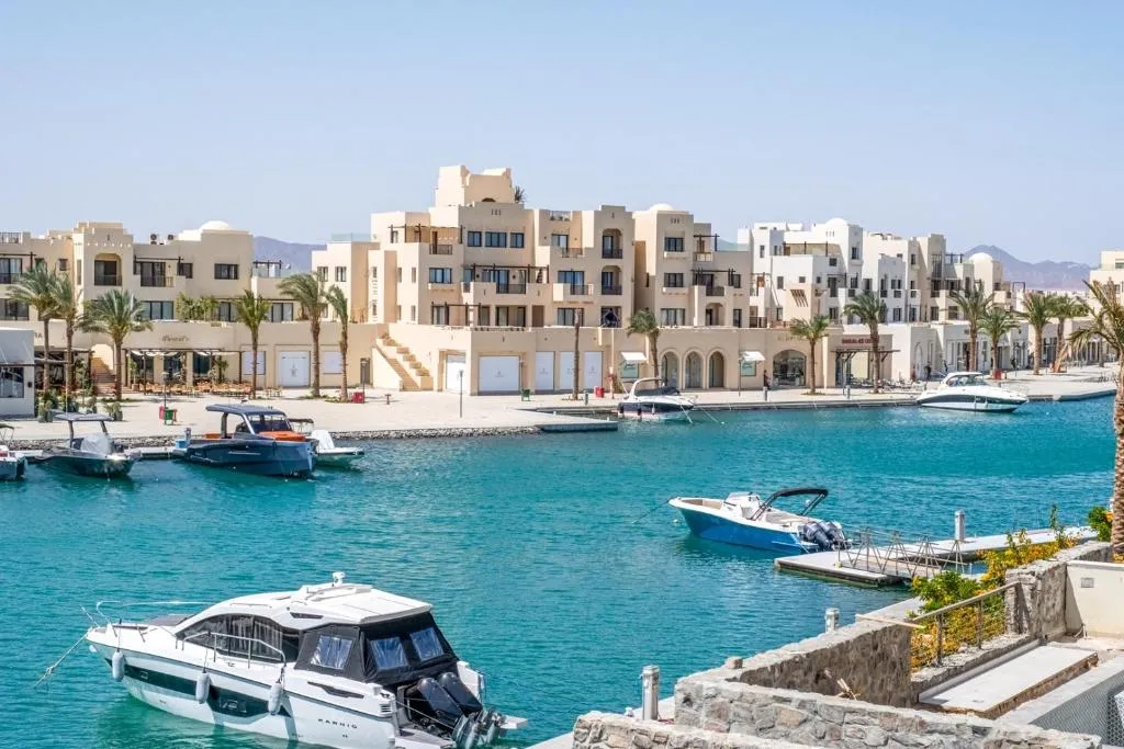 Image of Freshly Minted: Fanadir Marina