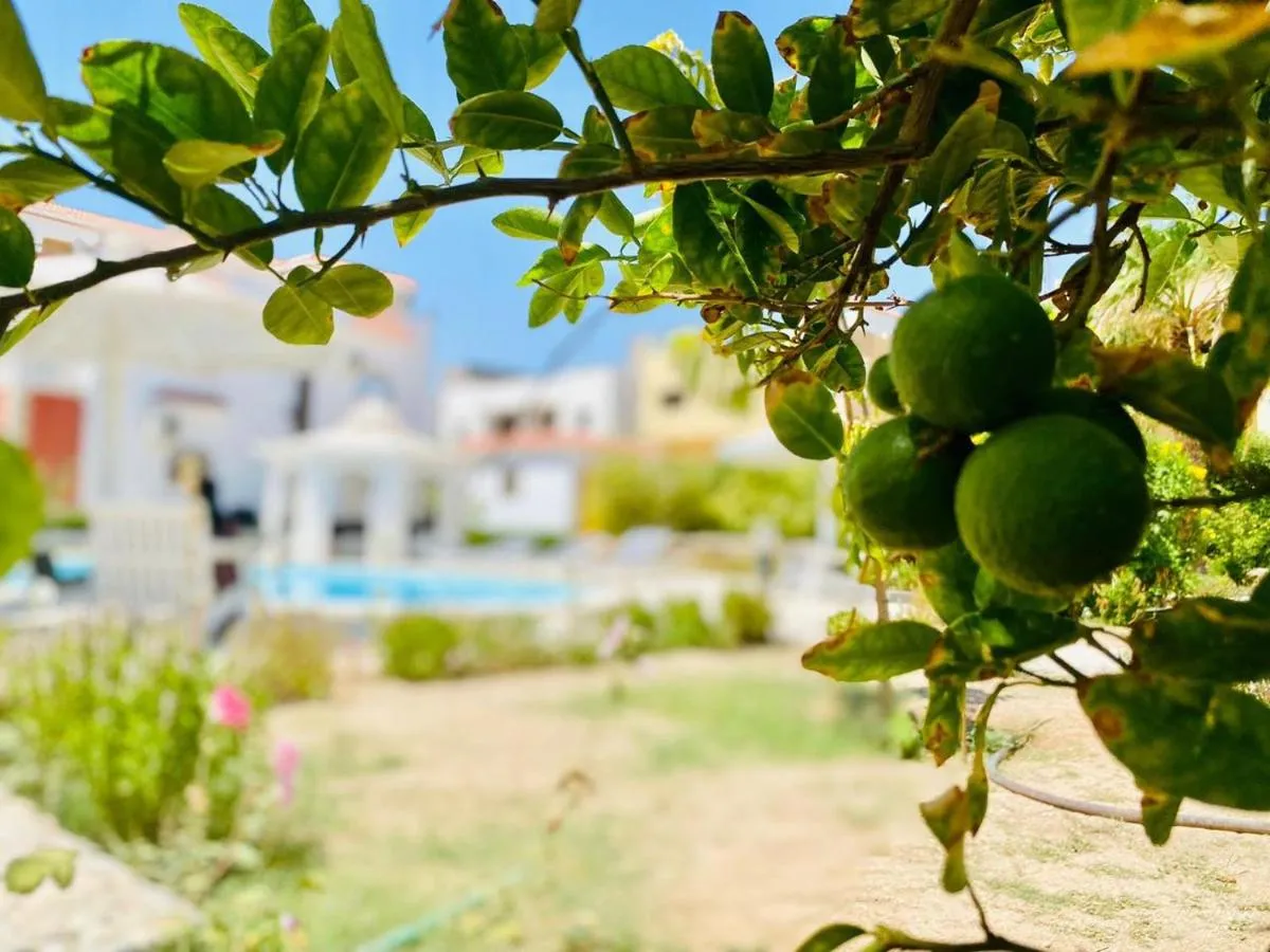 Image 6 of Happiness Villa Majawish, close to the city center