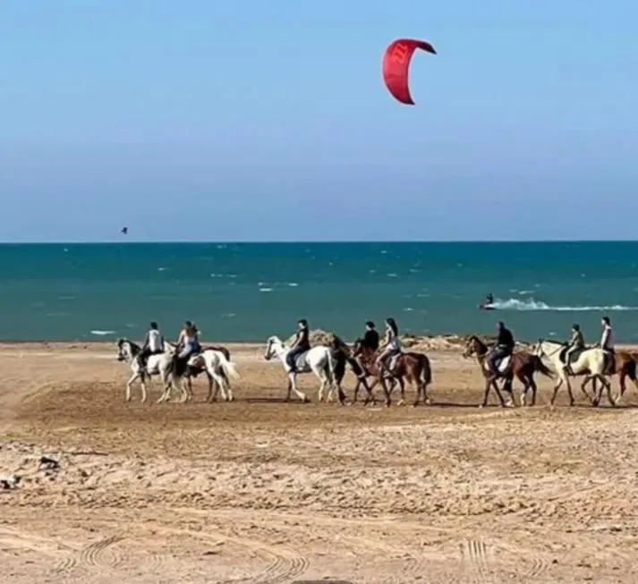 Image 6 of Hotel Room in Aqua Palms Hurghada