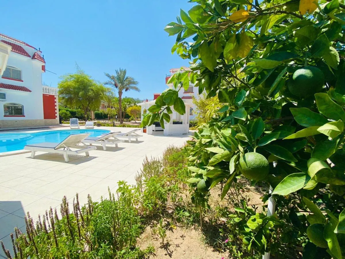 Image 3 of Hurghada-Magawish Studio 1