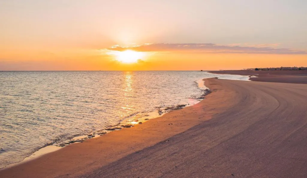 Image of JAZ Elite Asteria