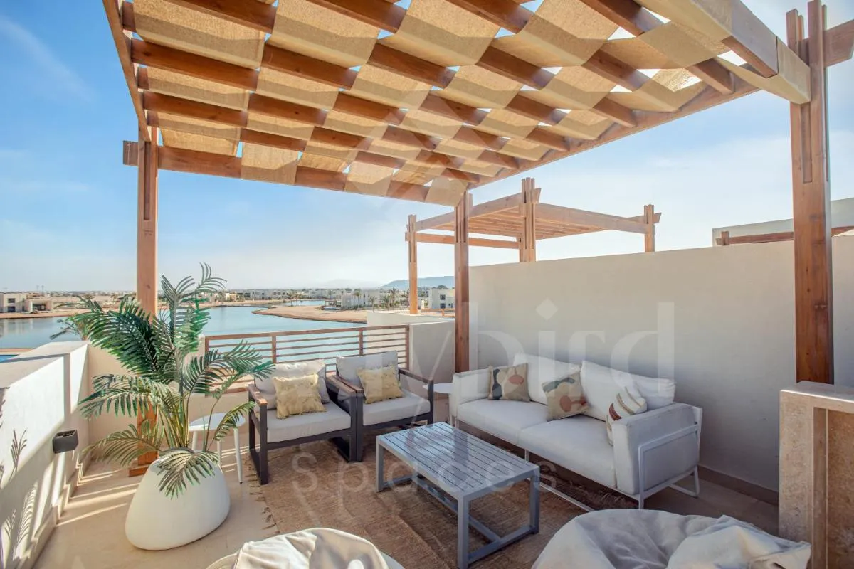 Image 6 of Ladybird – Shedwan Horizon