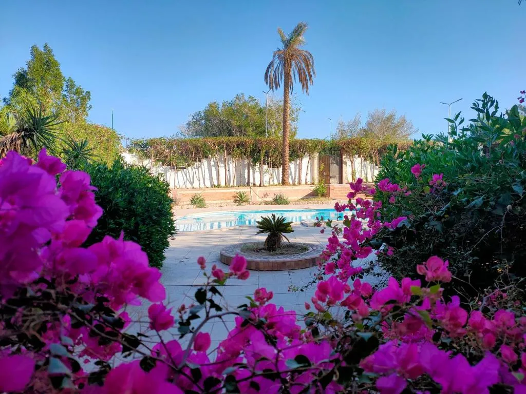 Image of Luxury Gardenhouse pool WiFi Hurghada