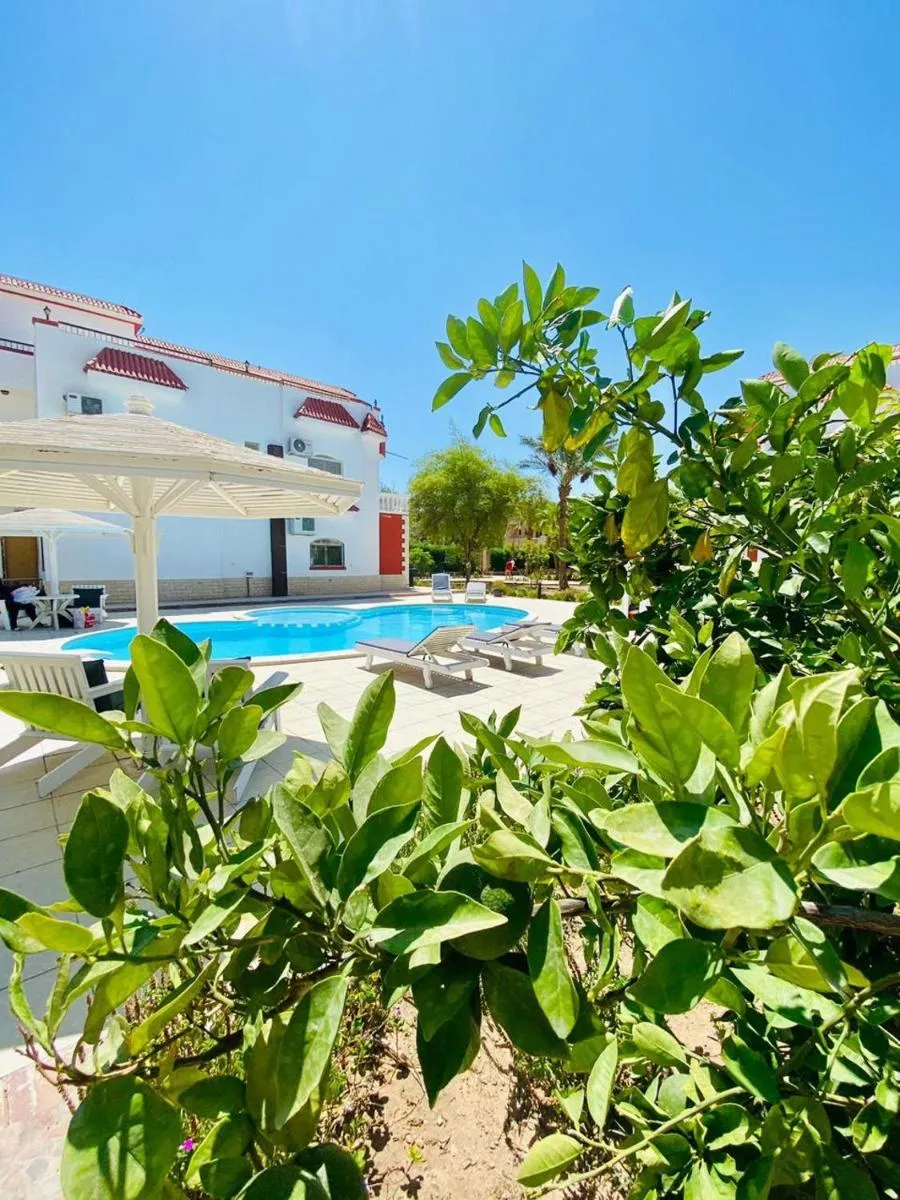 Image 6 of Magawish villa in the heart of the city