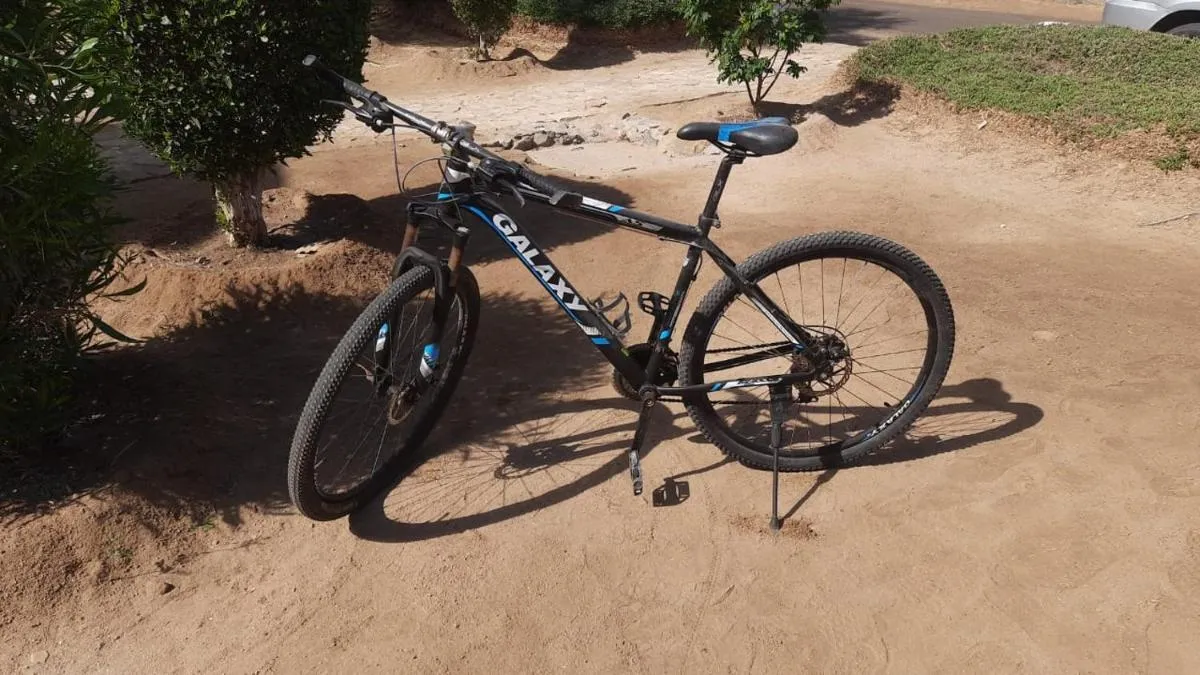 Image 2 of Mangroovy 1br Charming Escape Hilton pool view