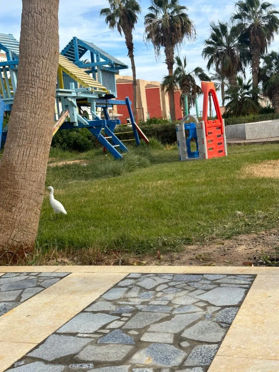 Image 4 of Mashrabiya hotel