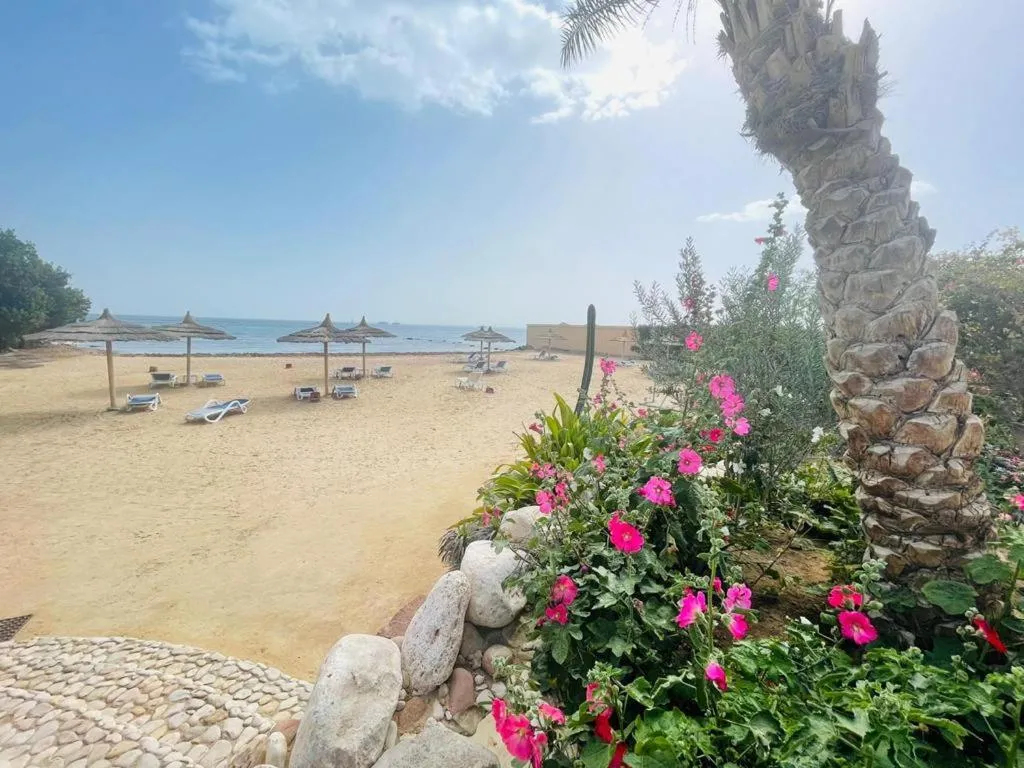 Image 5 of Navy Chalets 107