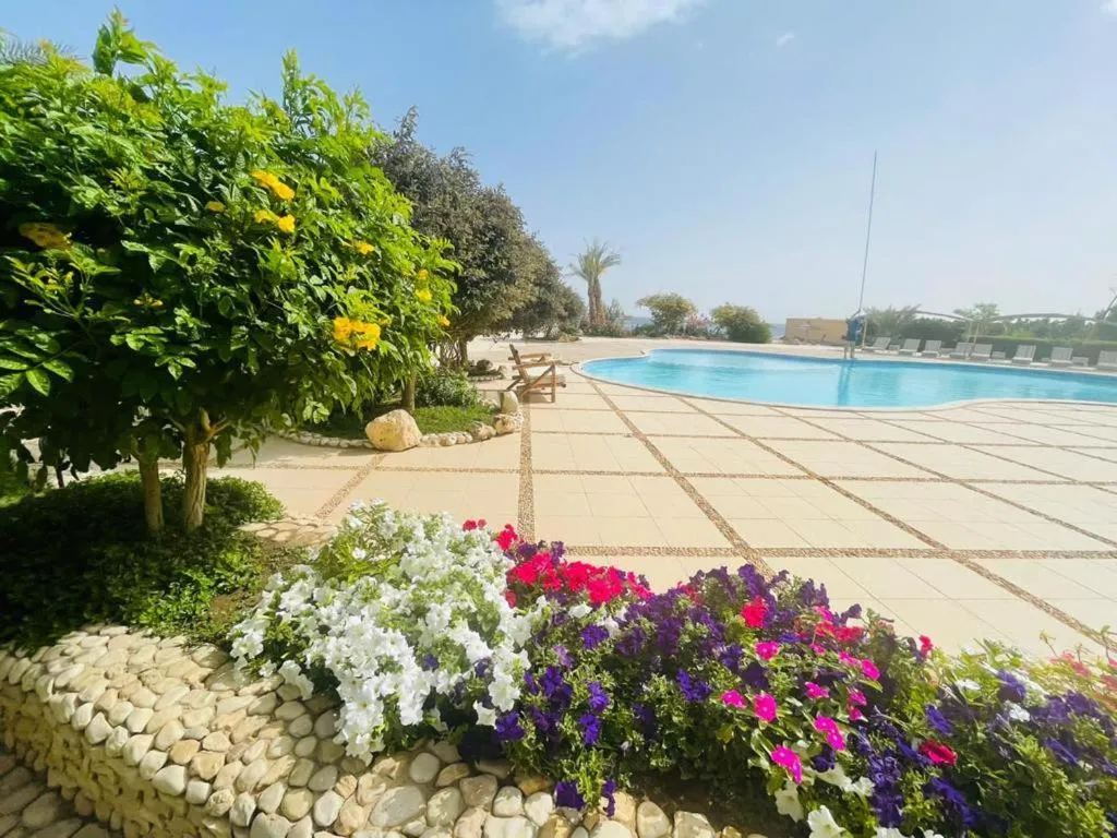 Image 1 of Navy Chalets 107