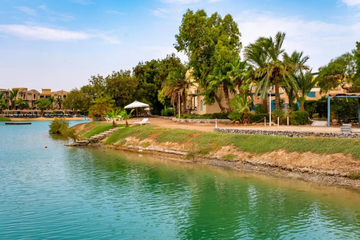 Image 2 of Studio Serenity Downtown El Gouna