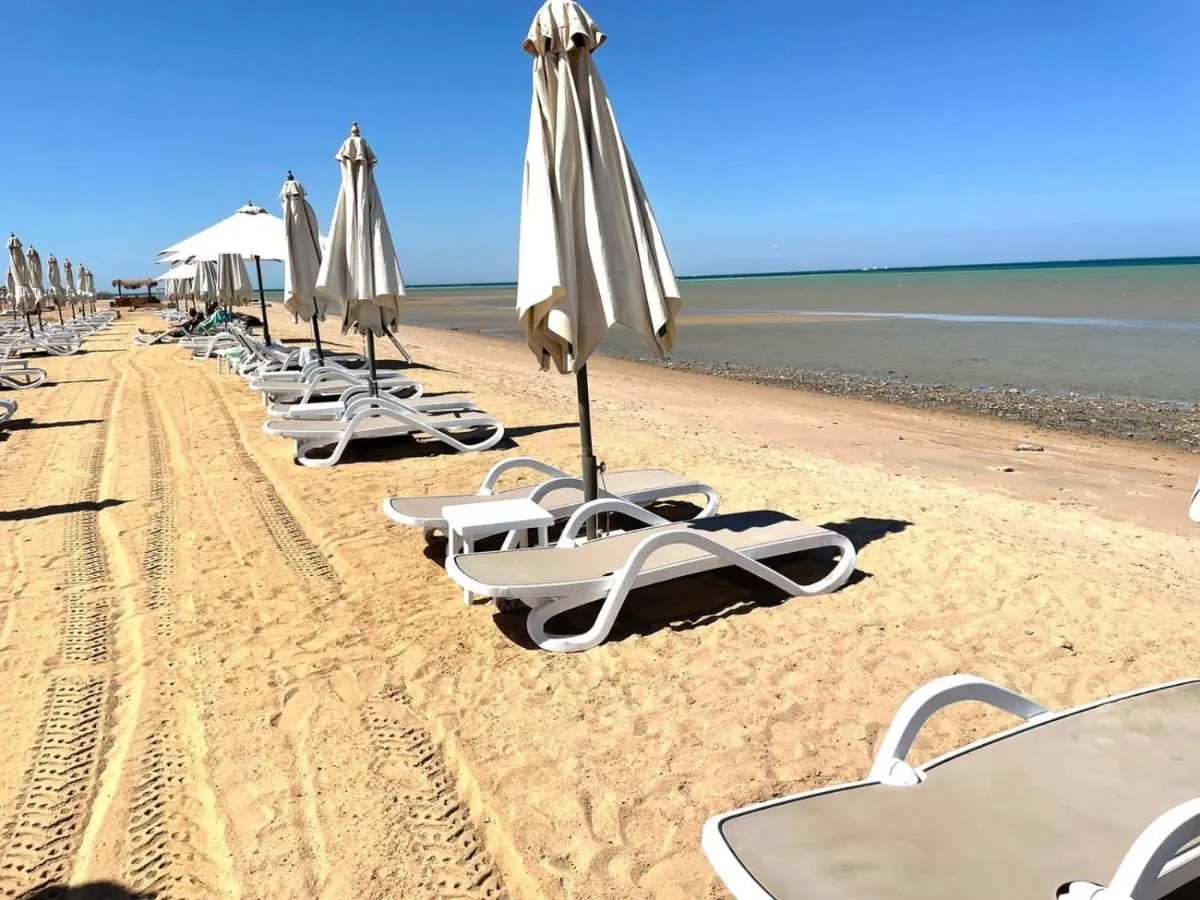 Image 6 of SunShine Mangrove