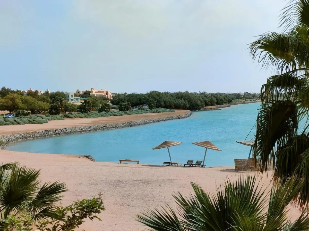 Image 6 of SunShine Y1-0-6