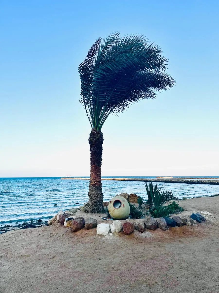 Image 6 of Sunside Apartment Studio