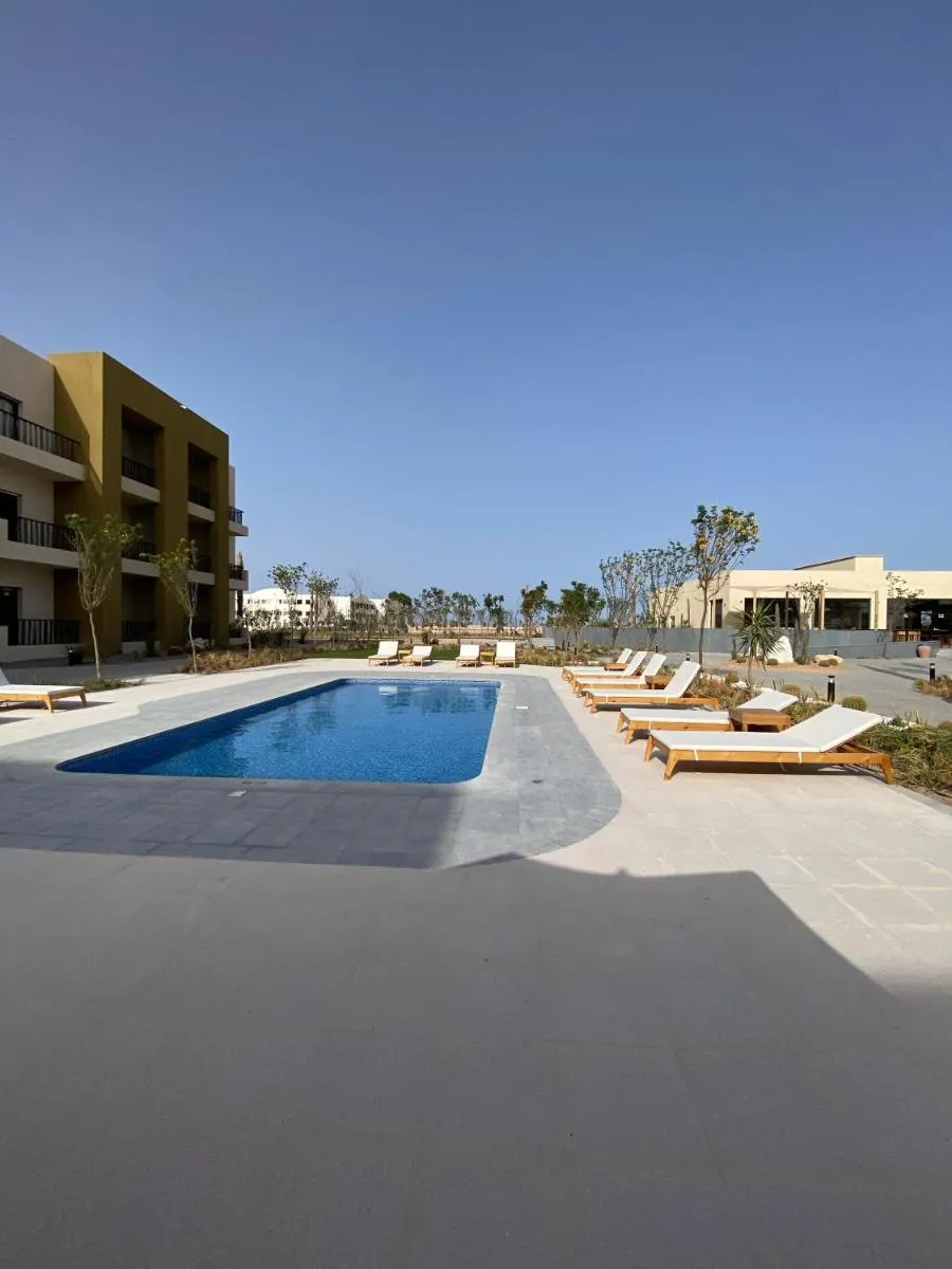 Image 3 of The Kaktus Somabay