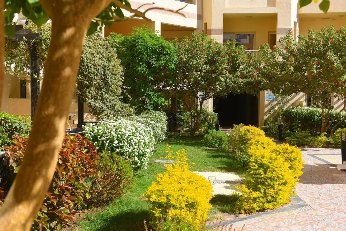 Image 6 of florenza Khamsin