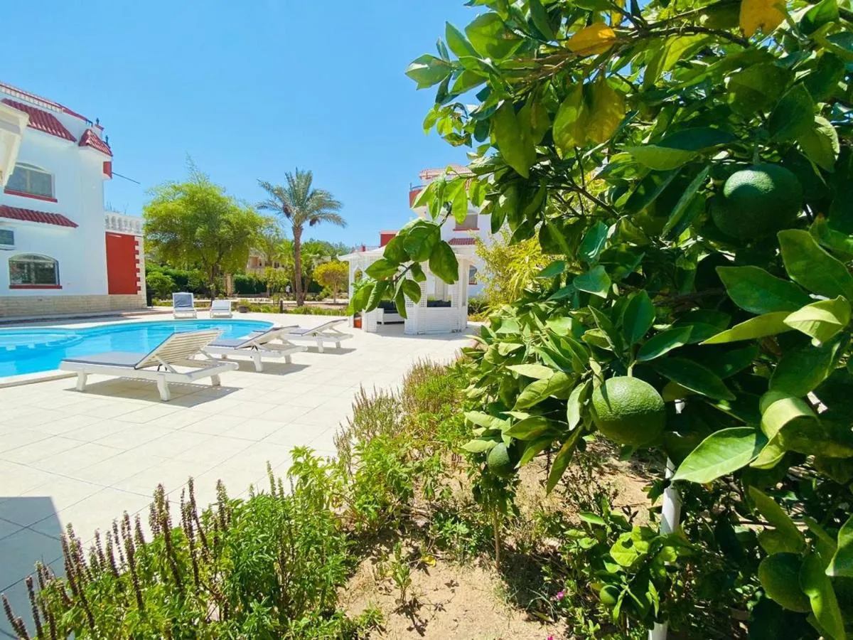 Image 6 of hurgada hapy room