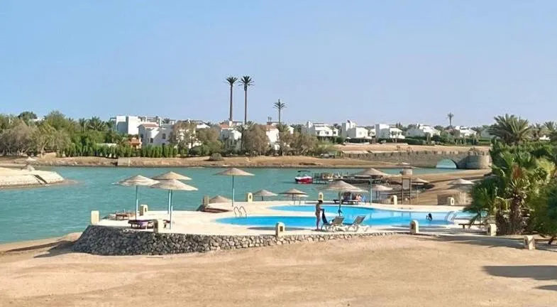 Image of wast golf y 39-0-2