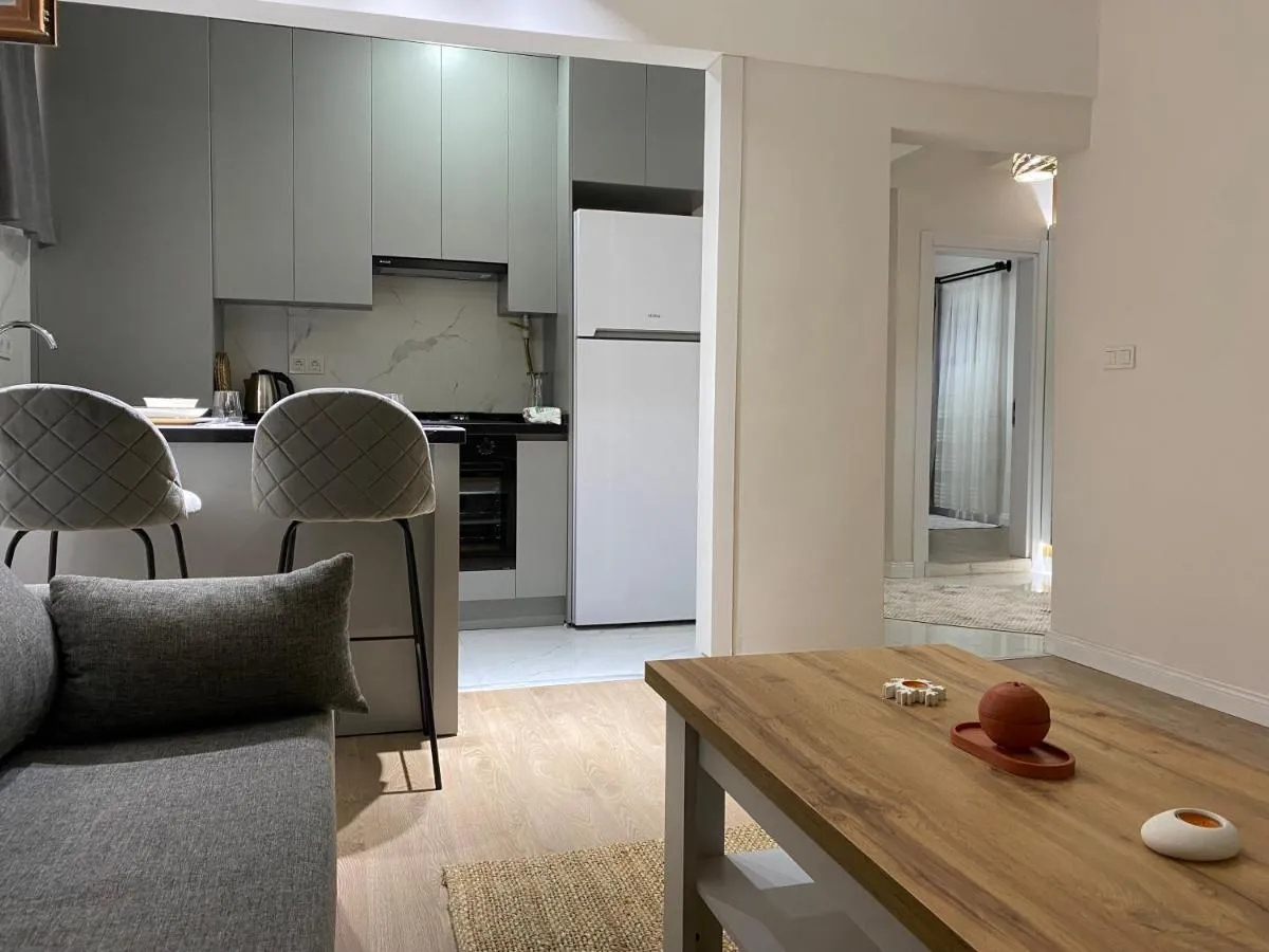 Image 2 of Modern 2 Bedroom Flat in Cihangir