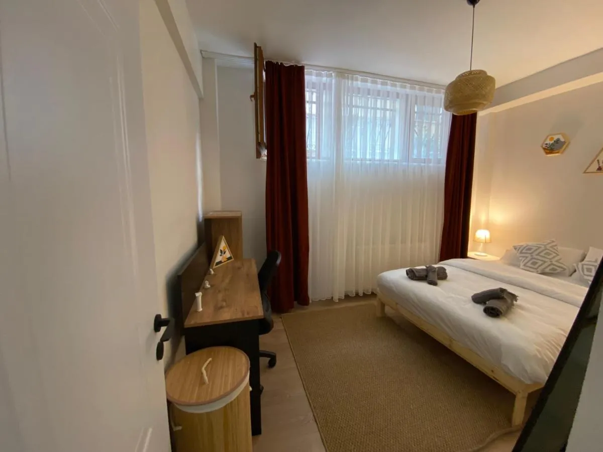 Image 1 of Modern 2 Bedroom Flat in Cihangir