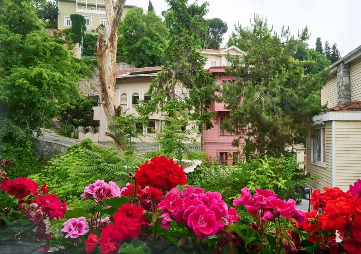 Image 5 of Modern Bright Cozy 1bed1bath Hidden Gem! #79