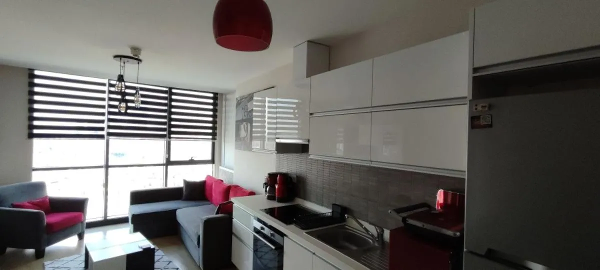 Image 1 of Tips For istanbul