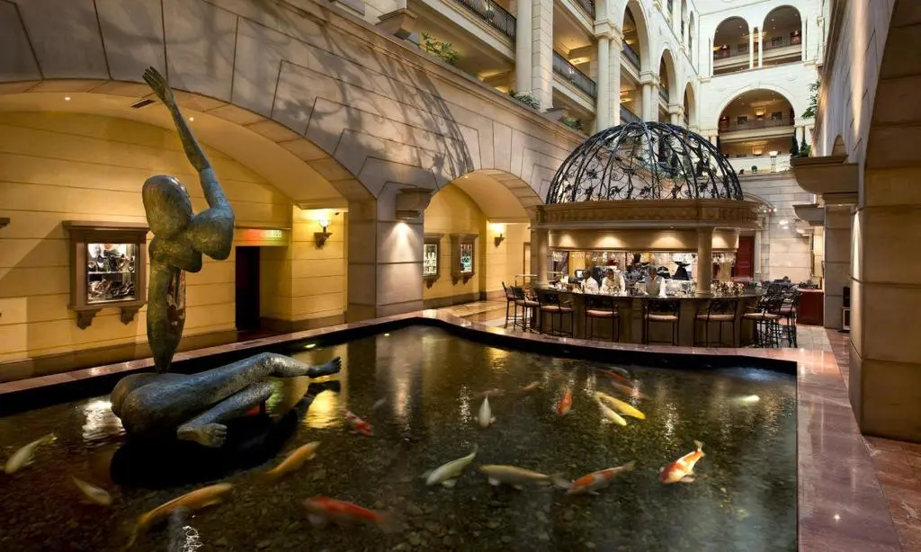 Image of 523 Michelangelo