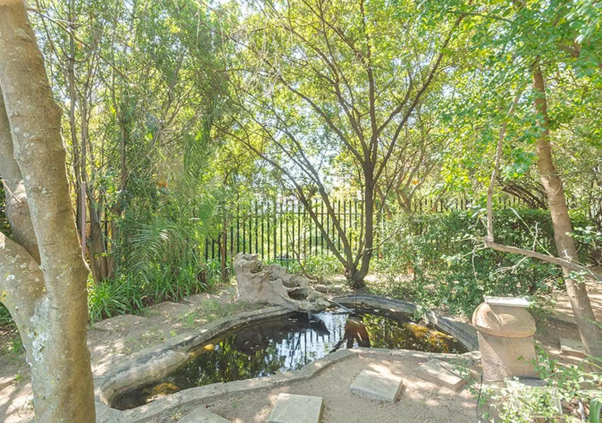 Image 6 of Casa de Olivia