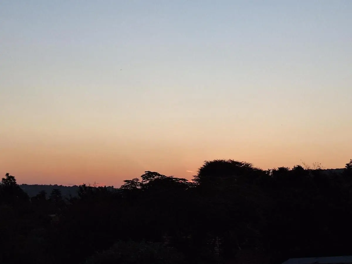 Image 3 of Cosy Cabins