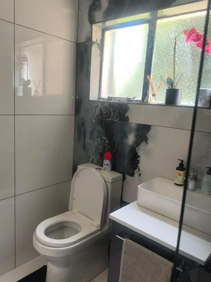 Image 5 of Cozy Cottage on 5th Avenue