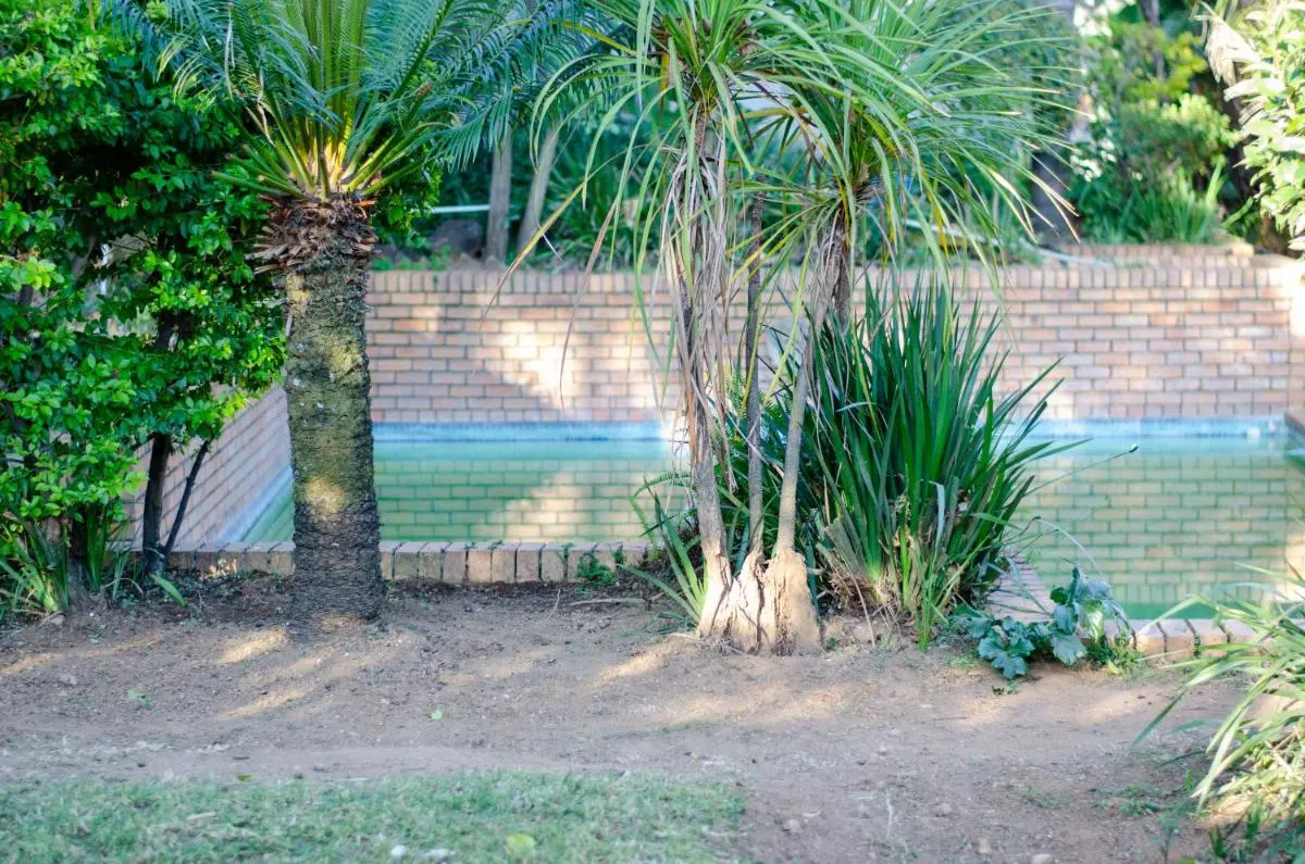 Image 5 of DreamNest