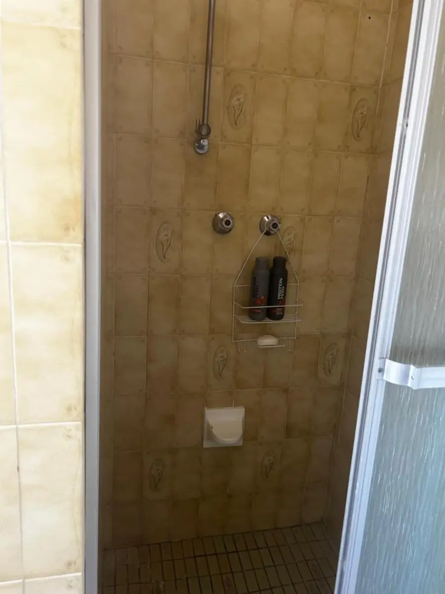 Image 6 of FRIDAS Haven