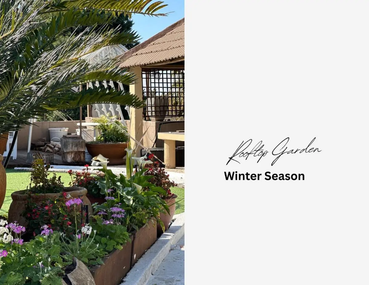 Image 1 of Kiwara Guesthouse