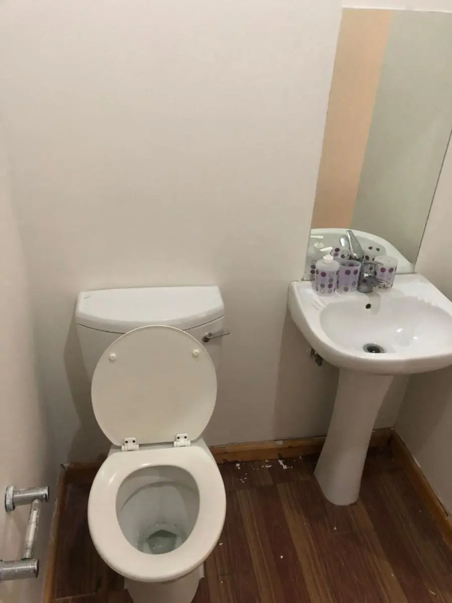 Image 6 of Linaste at Colosseum