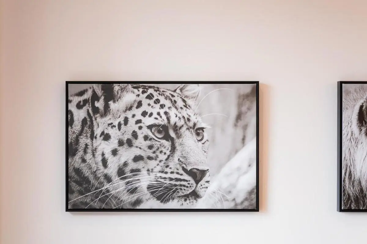 Image 3 of Masingita Towers Sandton – Luxurious Apartment Condo – 9th Floor