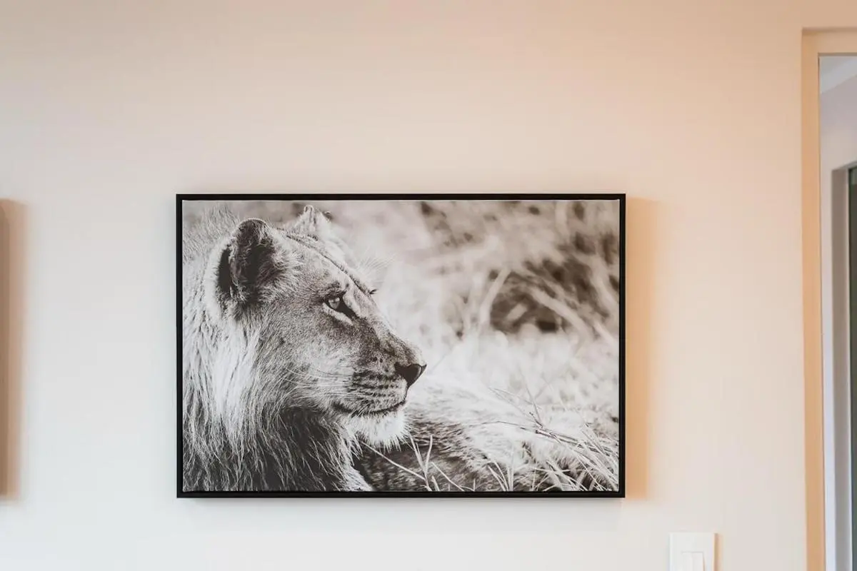 Image 2 of Masingita Towers Sandton – Luxurious Apartment Condo – 9th Floor