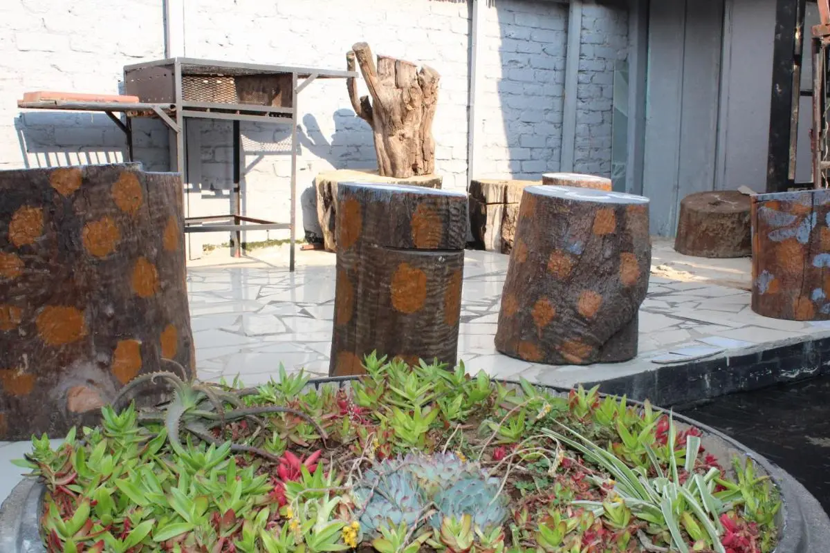 Image 5 of Newlands Cosy One Bedroom Apartment