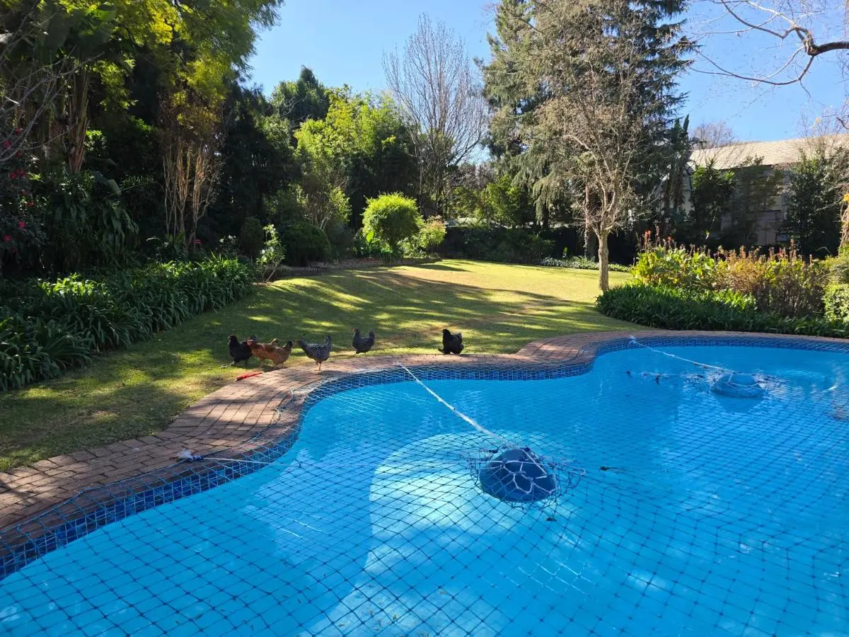 Image 3 of Peach tree cottage