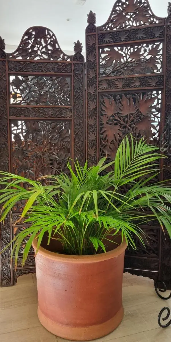 Image 3 of Studio in Bryanston