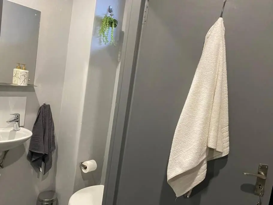 Image 2 of The Ark in Maboneng