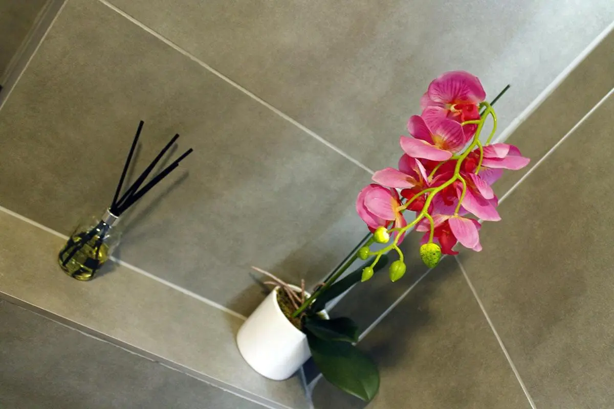 Image 2 of The Guesthouse 6 on Vrede