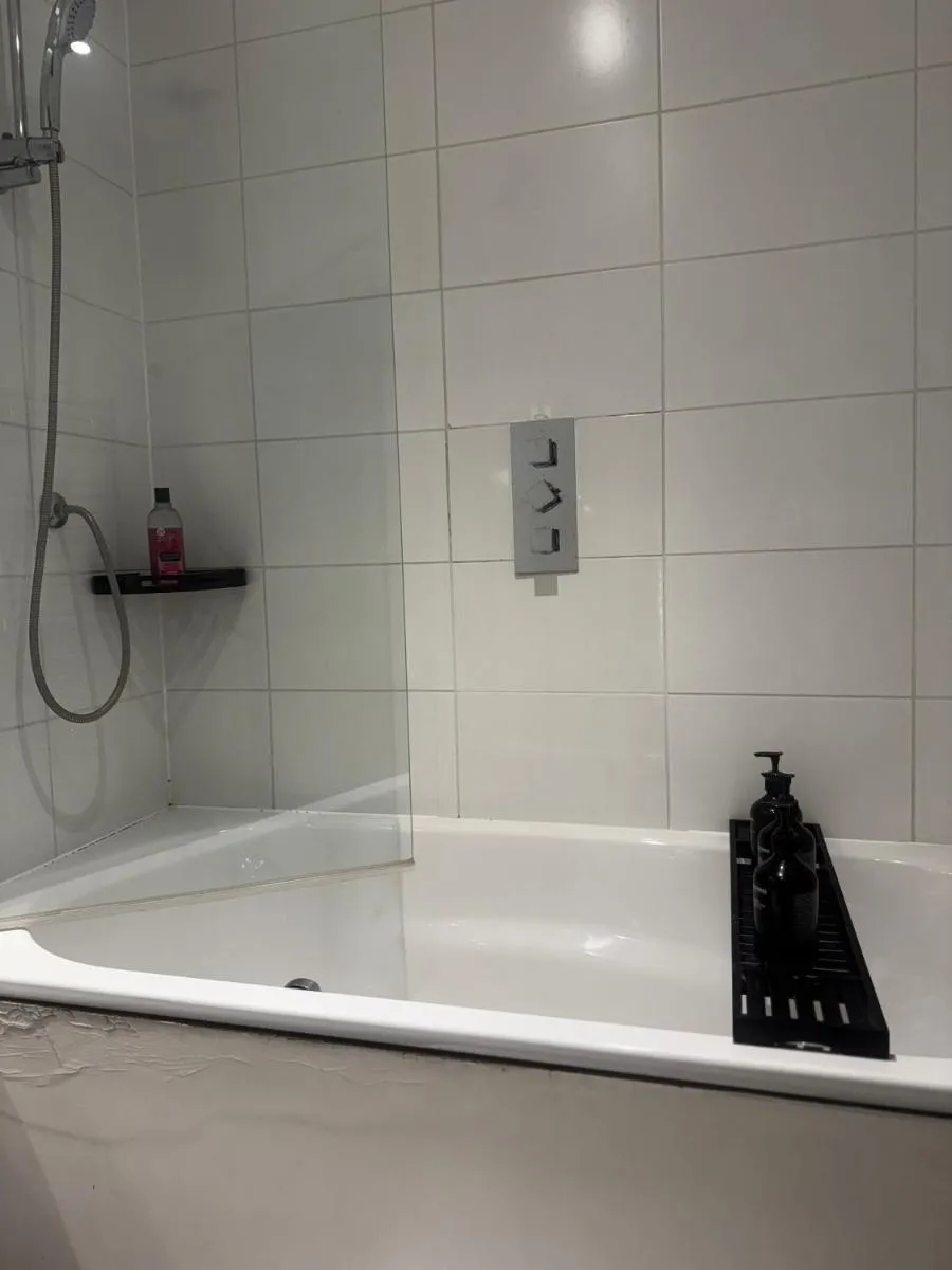 Image 3 of 1 Bed Flat Excel, IFS clouds, 02 arena, city Airport, Custom House