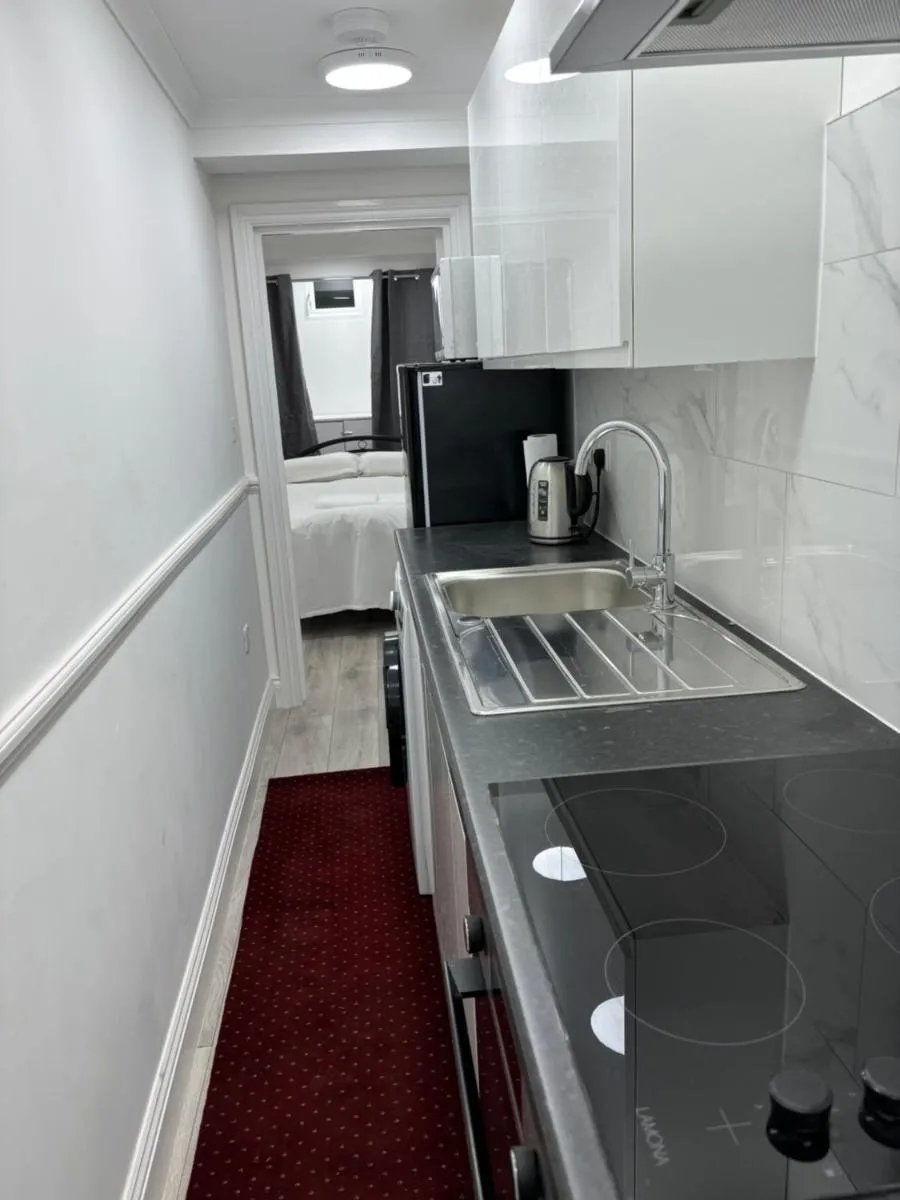 Image 3 of 525 Romford Rd, Basement flat