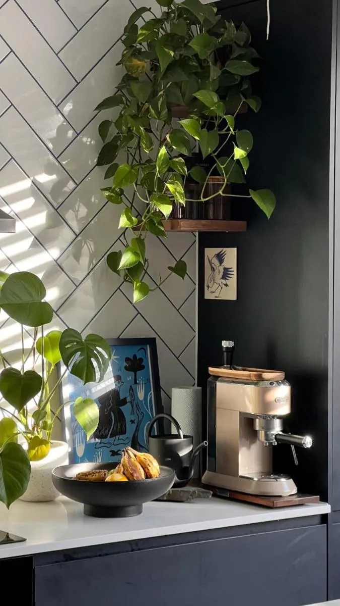 Image 4 of Apartment Rivoli Peaceful Oasis Luxury South London Flat with Tranquil Garden
