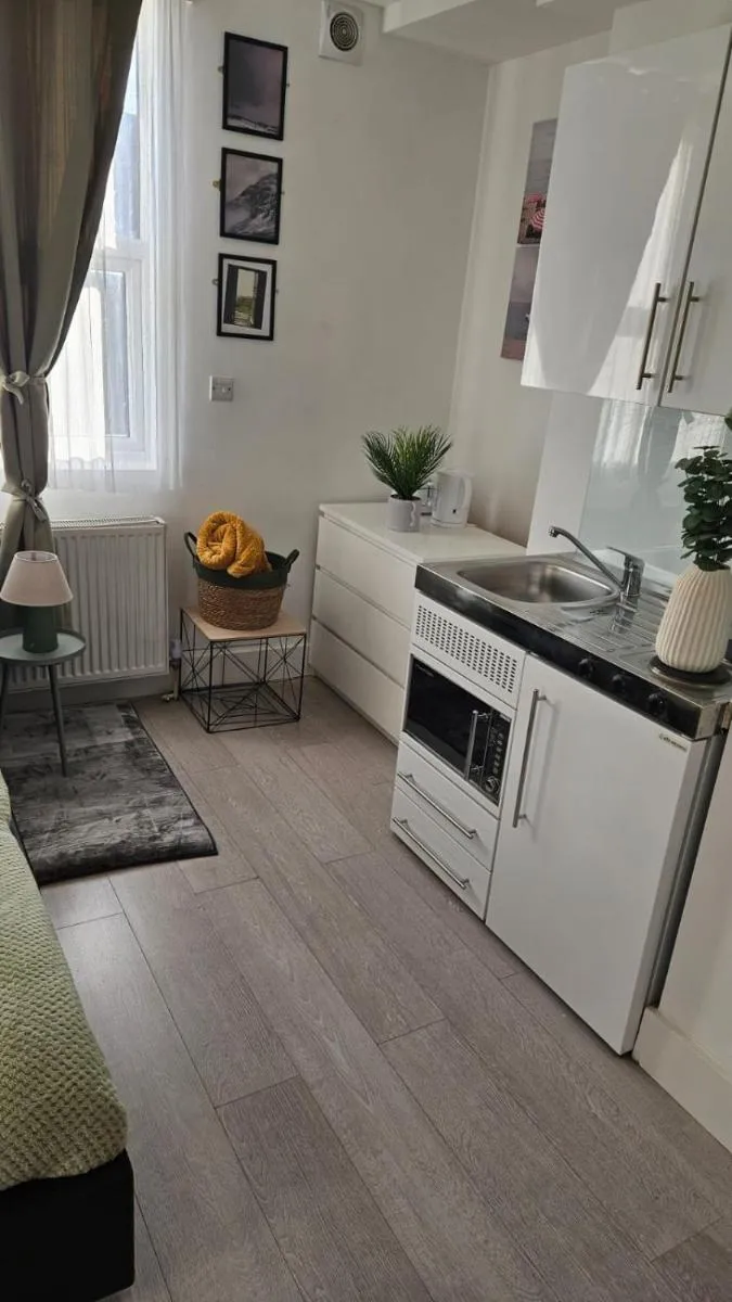 Image 4 of Bright Studio Apt, Great connection 2B
