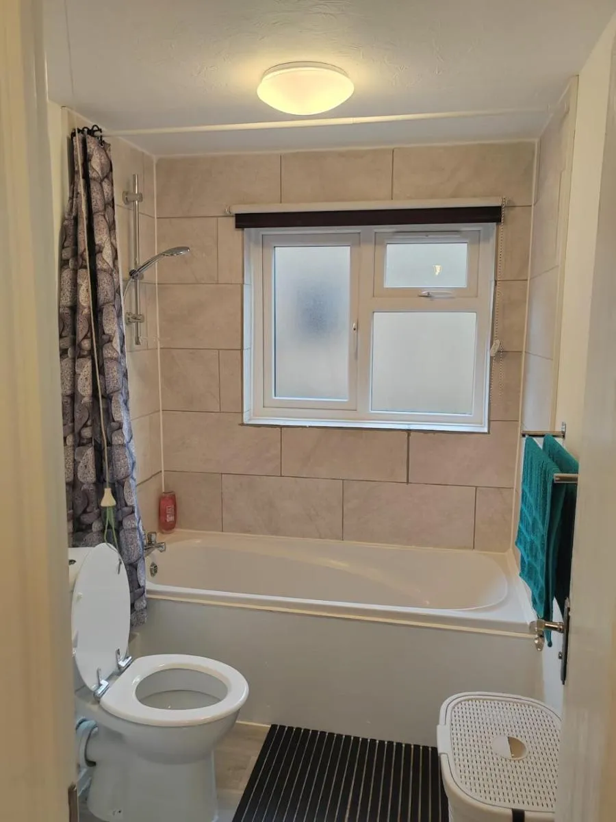 Image 5 of Domasi Flat in New Cross
