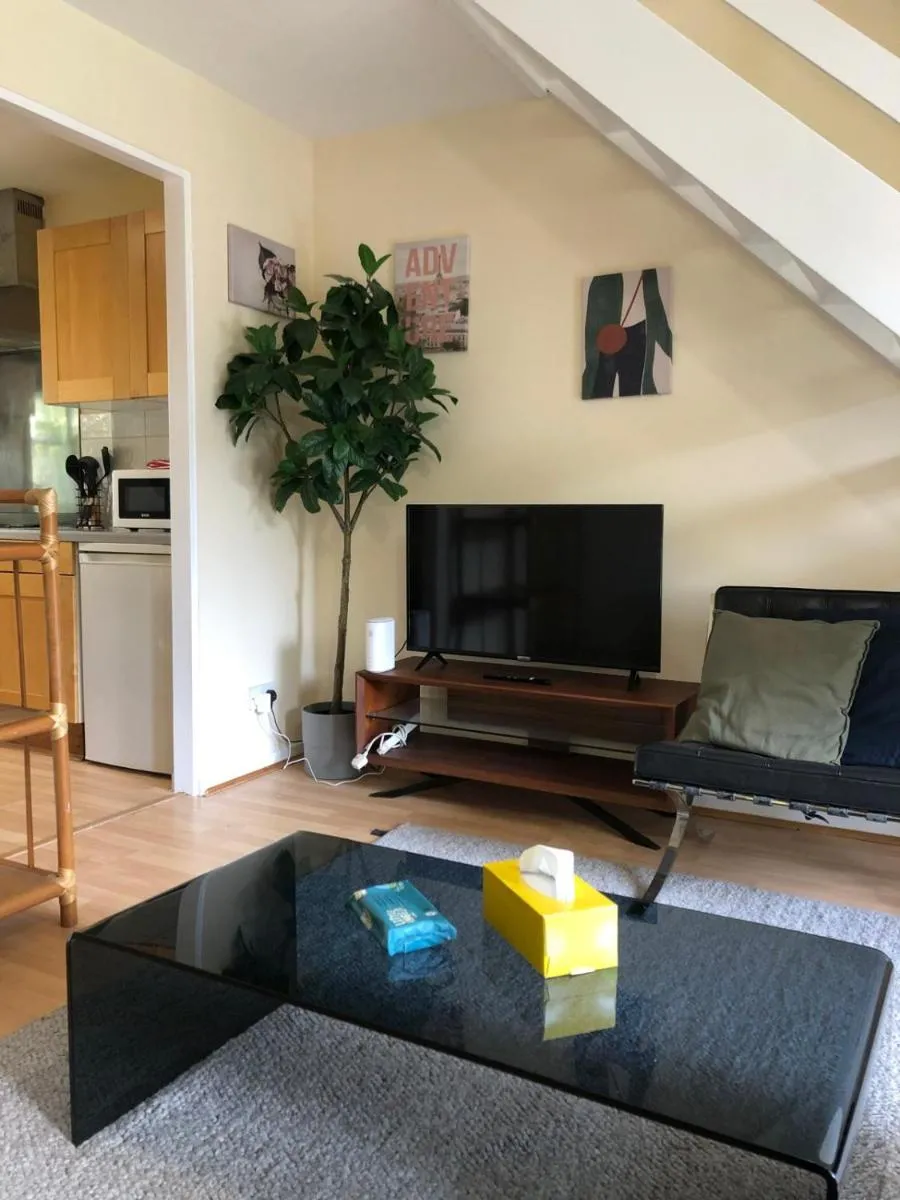 Image 5 of Lovely Townhouse with Garden and Parking in Camden Central London