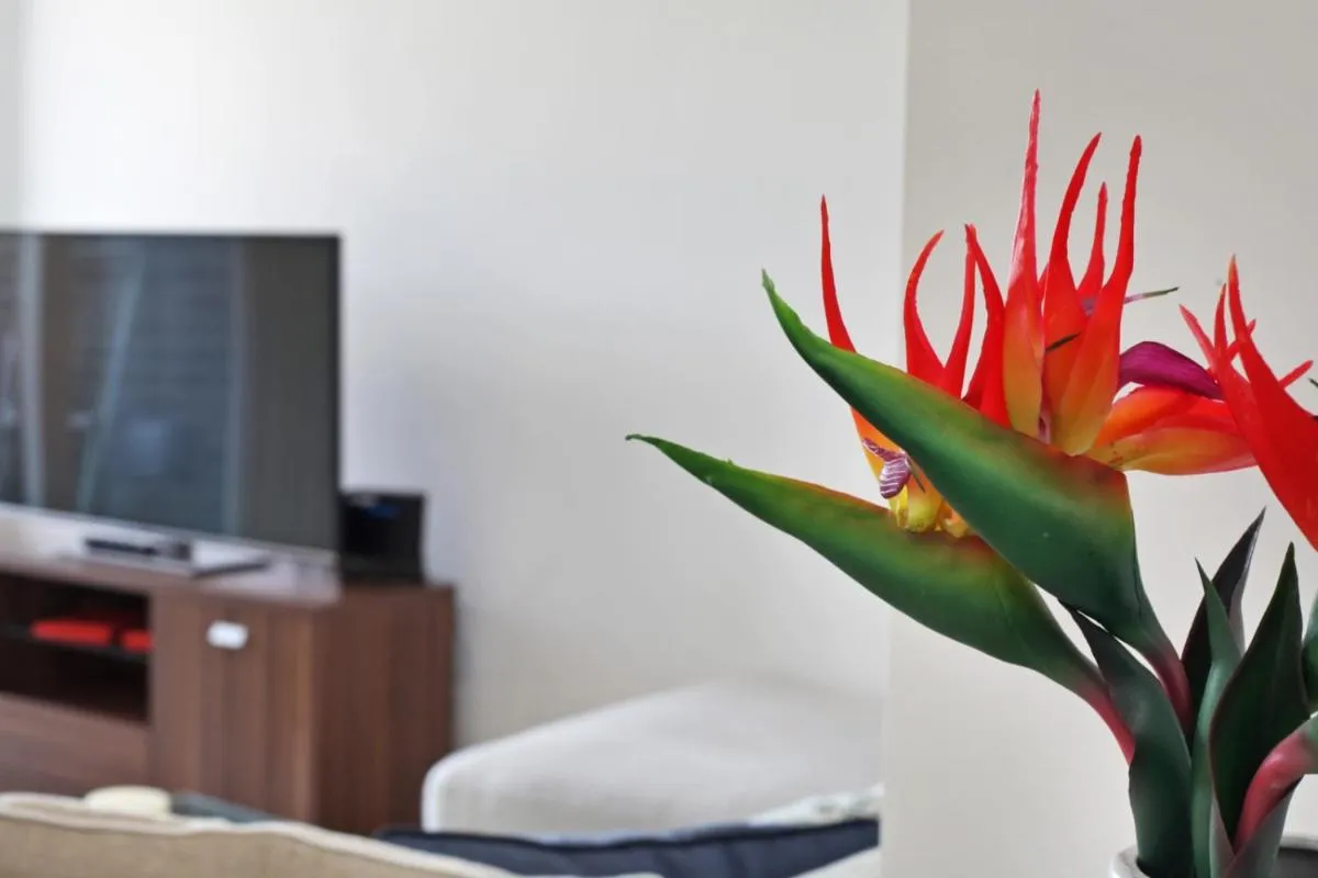 Image 5 of Lux 2 & 3 Bed Apartments in Camden Town FREE WIFI by City Stay Aparts London