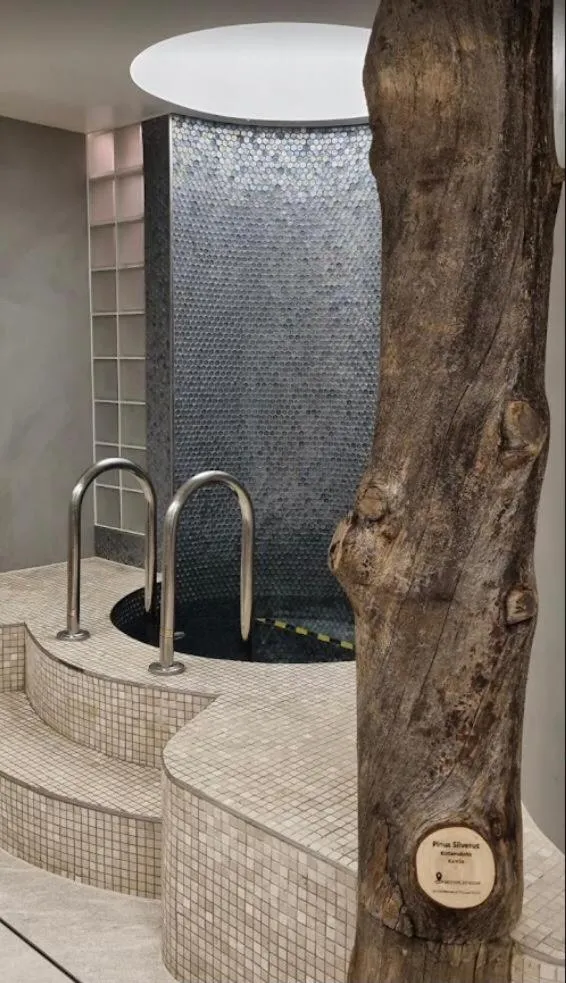 Image 5 of Luxury King Room Chiswick West London