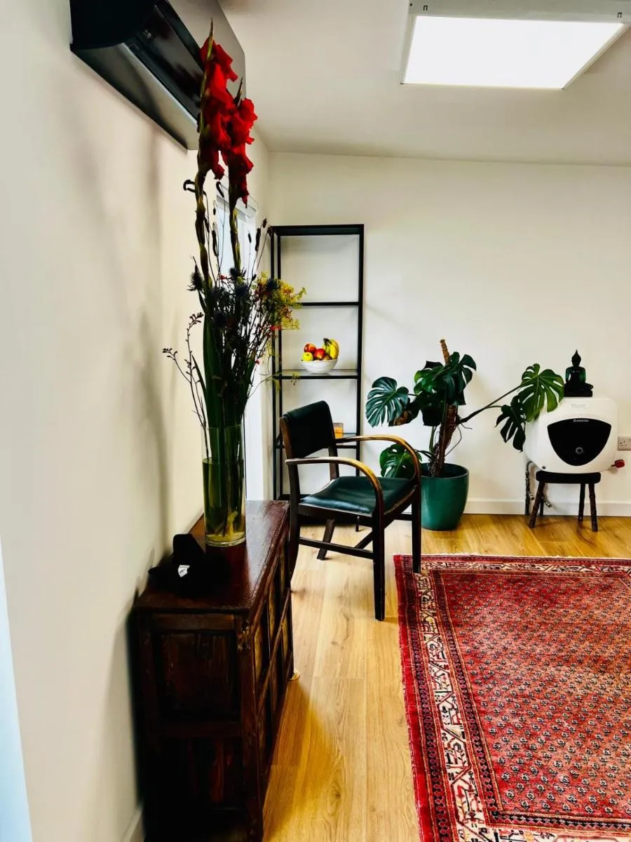 Image 3 of Modern Studio in Camden